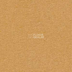 Ковролин Radici Nexus Biscotto 2407 фото 1 | FLOORDEALER